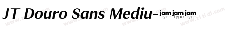 JT Douro Sans Mediu字体转换